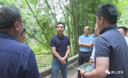 代軍深入龍華鎮調研指導，聚焦旅游項目開發新藍圖
